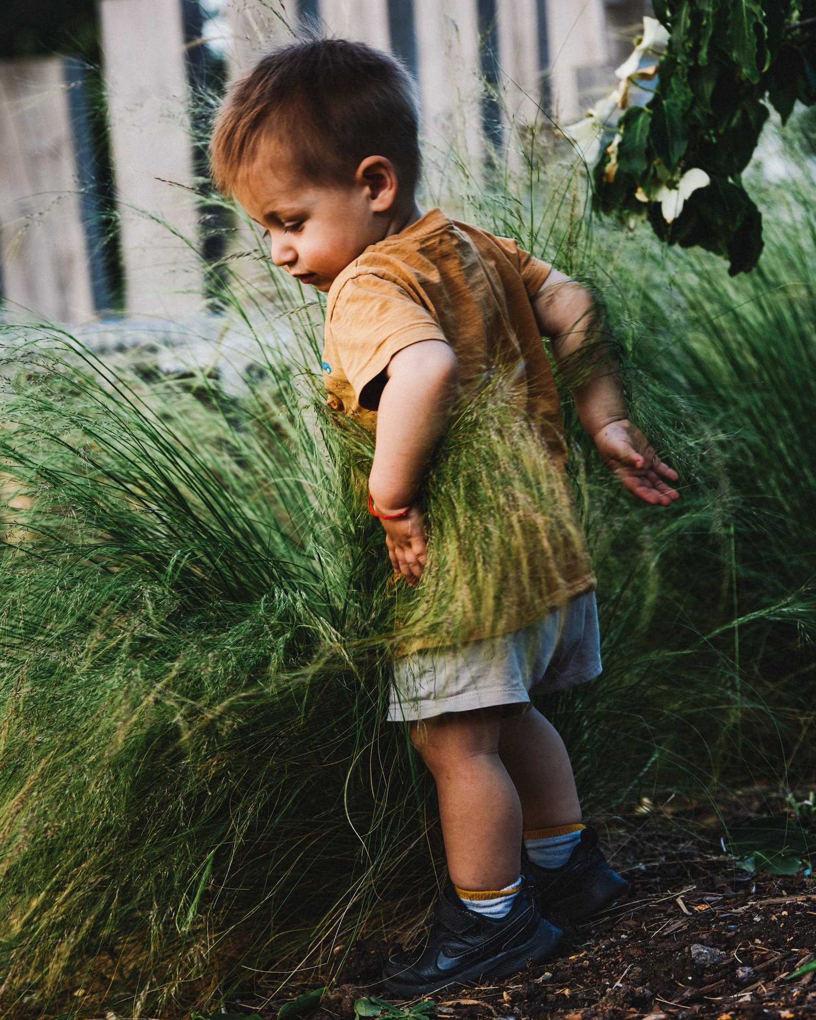 Toddler exploring tall grass